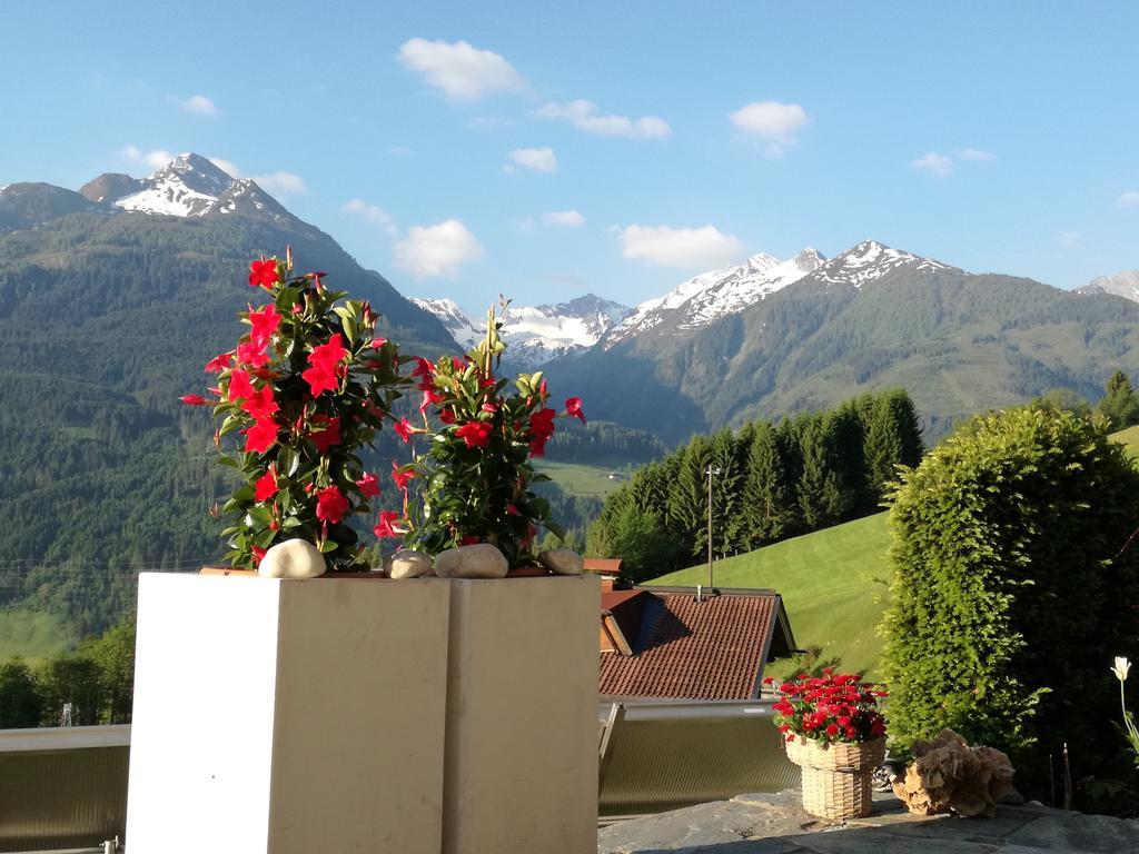 Apartment Haus Salzachblick Piesendorf